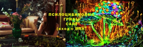 Альфа ПВП Семёнов